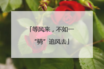 等风来，不如一“骑”追风去
