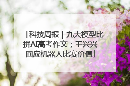 科技周报｜九大模型比拼AI高考作文；王兴兴回应机器人比赛价值