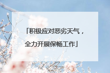 积极应对恶劣天气，全力开展保畅工作