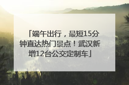 端午出行，最短15分钟直达热门景点！武汉新增12台公交定制车