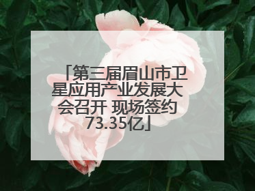 第三届眉山市卫星应用产业发展大会召开 现场签约73.35亿