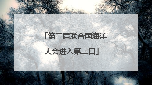 第三届联合国海洋大会进入第二日