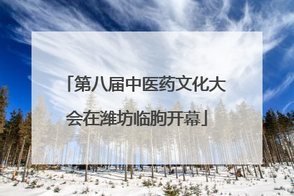 第八届中医药文化大会在潍坊临朐开幕