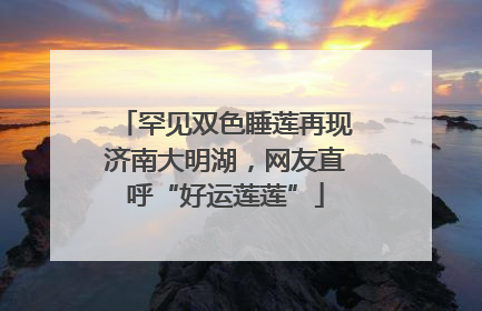 罕见双色睡莲再现济南大明湖，网友直呼“好运莲莲”