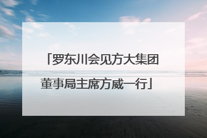 罗东川会见方大集团董事局主席方威一行