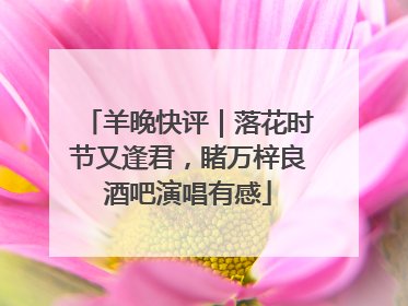 羊晚快评|落花时节又逢君,睹万梓良酒吧演唱有感