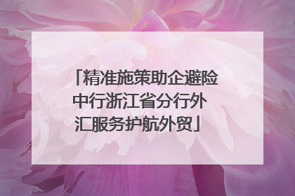 精准施策助企避险 中行浙江省分行外汇服务护航外贸
