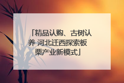 精品认购、古树认养 河北迁西探索板栗产业新模式