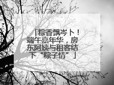 粽香飘岑卜！端午嘉年华，房东阿姨与租客结下“粽子情”