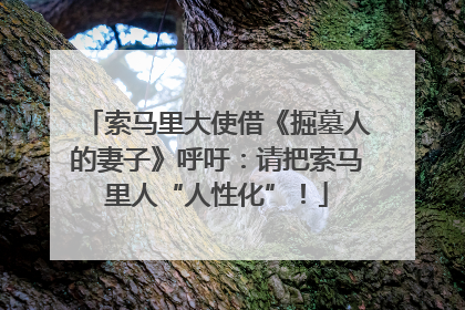 索马里大使借《掘墓人的妻子》呼吁：请把索马里人“人性化”！