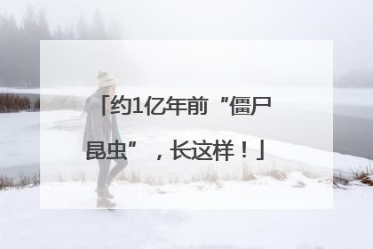 约1亿年前“僵尸昆虫”，长这样！