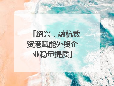 绍兴：融杭数贸港赋能外贸企业稳量提质