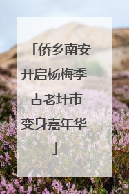 侨乡南安开启杨梅季 古老圩市变身嘉年华