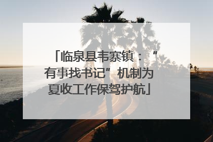 临泉县韦寨镇：“有事找书记”机制为夏收工作保驾护航