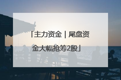 主力资金｜尾盘资金大幅抢筹2股