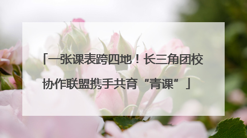 一张课表跨四地！长三角团校协作联盟携手共育“青课”