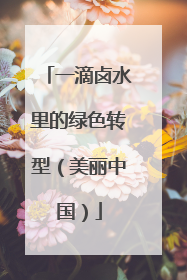 一滴卤水里的绿色转型（美丽中国）