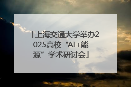 上海交通大学举办2025高校“AI+能源”学术研讨会