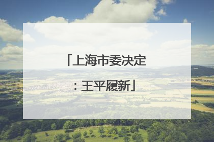 上海市委决定：王平履新