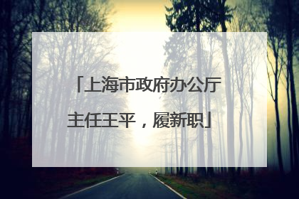 上海市政府办公厅主任王平，履新职
