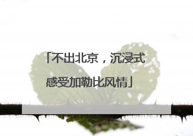 不出北京，沉浸式感受加勒比风情