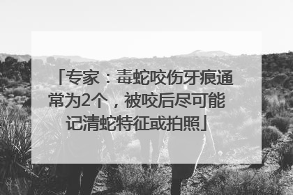 专家：毒蛇咬伤牙痕通常为2个，被咬后尽可能记清蛇特征或拍照