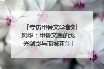 专访甲骨文学者刘风华：甲骨文里的戈光剑影与商城新生