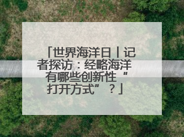 世界海洋日丨记者探访：经略海洋 有哪些创新性“打开方式”？