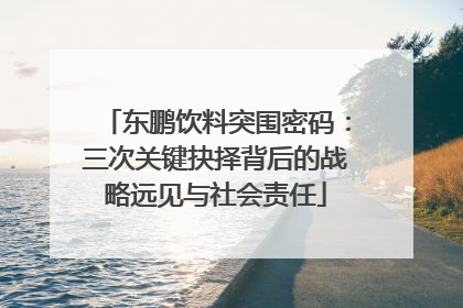 东鹏饮料突围密码：三次关键抉择背后的战略远见与社会责任