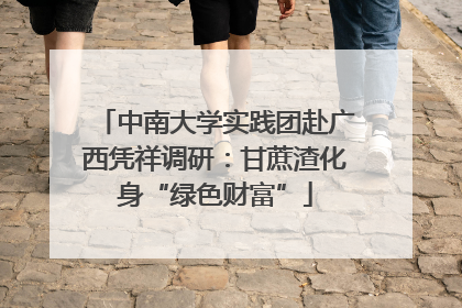 中南大学实践团赴广西凭祥调研：甘蔗渣化身“绿色财富”