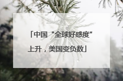 中国“全球好感度”上升，美国变负数