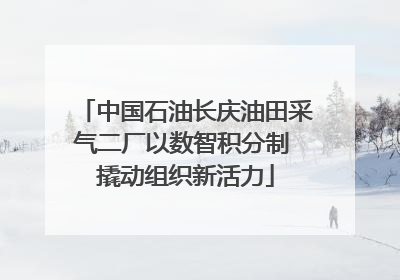 中国石油长庆油田采气二厂以数智积分制 撬动组织新活力