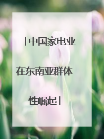 中国家电业在东南亚群体性崛起