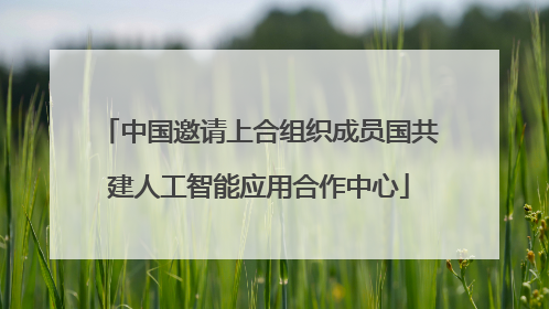 中国邀请上合组织成员国共建人工智能应用合作中心