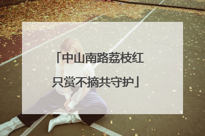 中山南路荔枝红 只赏不摘共守护