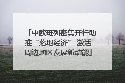 中欧班列密集开行助推“落地经济” 激活周边地区发展新动能