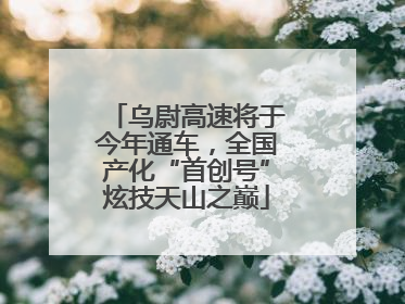 乌尉高速将于今年通车，全国产化“首创号”炫技天山之巅