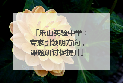 乐山实验中学：专家引领明方向，课题研讨促提升