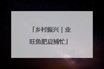 乡村振兴｜业旺鱼肥夏捕忙
