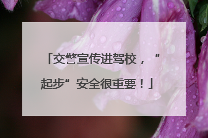 交警宣传进驾校，“起步”安全很重要！