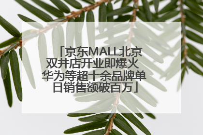 京东MALL北京双井店开业即爆火 华为等超十余品牌单日销售额破百万