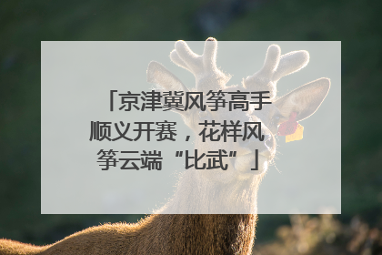 京津冀风筝高手顺义开赛，花样风筝云端“比武”