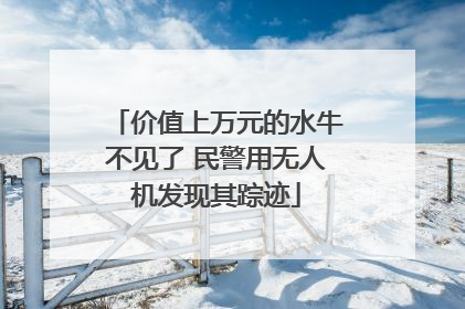 价值上万元的水牛不见了 民警用无人机发现其踪迹