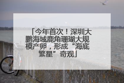 今年首次！深圳大鹏海域鹿角珊瑚大规模产卵，形成“海底繁星”奇观