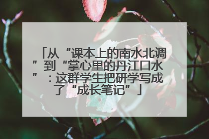 从“课本上的南水北调”到“掌心里的丹江口水”：这群学生把研学写成了“成长笔记”