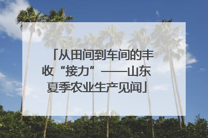 从田间到车间的丰收“接力”——山东夏季农业生产见闻