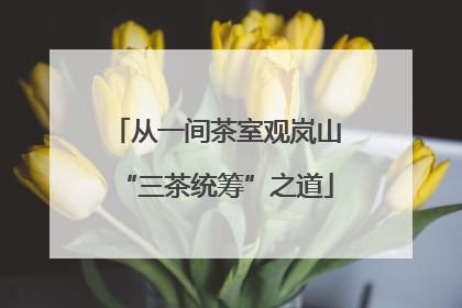 从一间茶室观岚山“三茶统筹”之道
