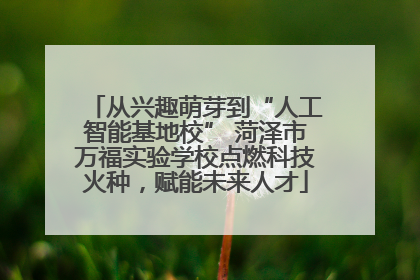 从兴趣萌芽到“人工智能基地校” 菏泽市万福实验学校点燃科技火种，赋能未来人才