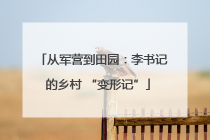 从军营到田园：李书记的乡村 “变形记”
