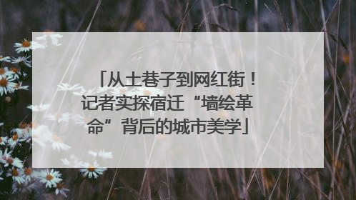 从土巷子到网红街！记者实探宿迁“墙绘革命”背后的城市美学